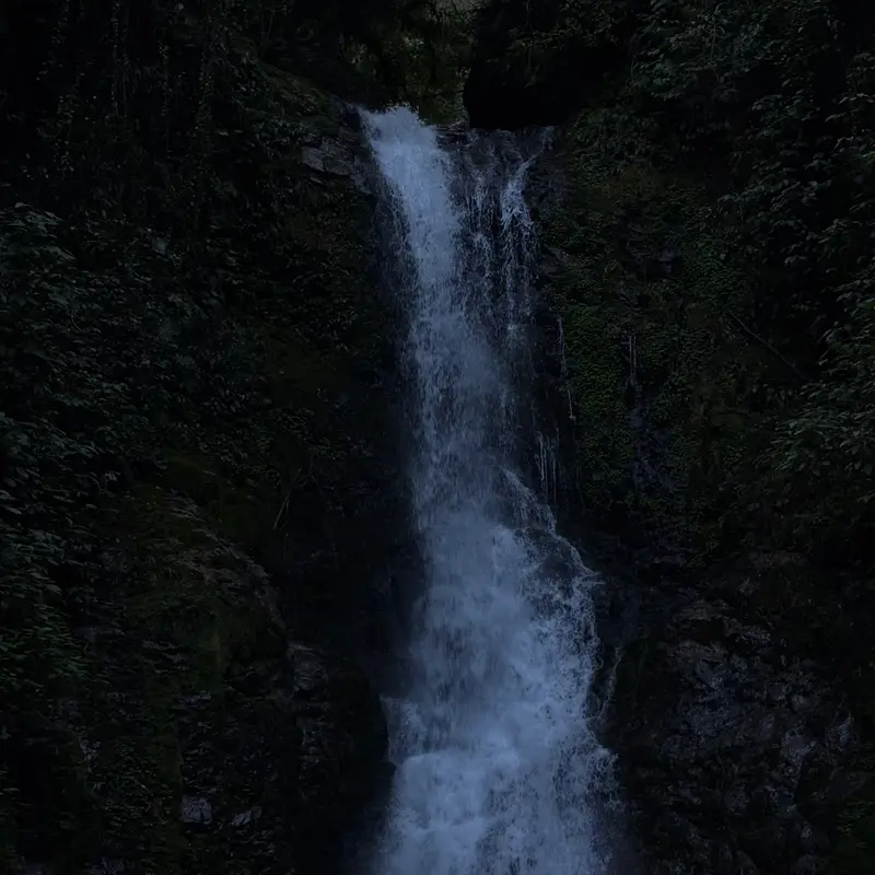 IMG 0178