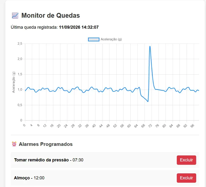 The Elder Watch dashboard: a fall monitor chart where the line of ordinary movement around 1 g drops to 0.6 and then spikes past 2.4, which is the fall, above a list of scheduled reminders for blood pressure medication and lunch.