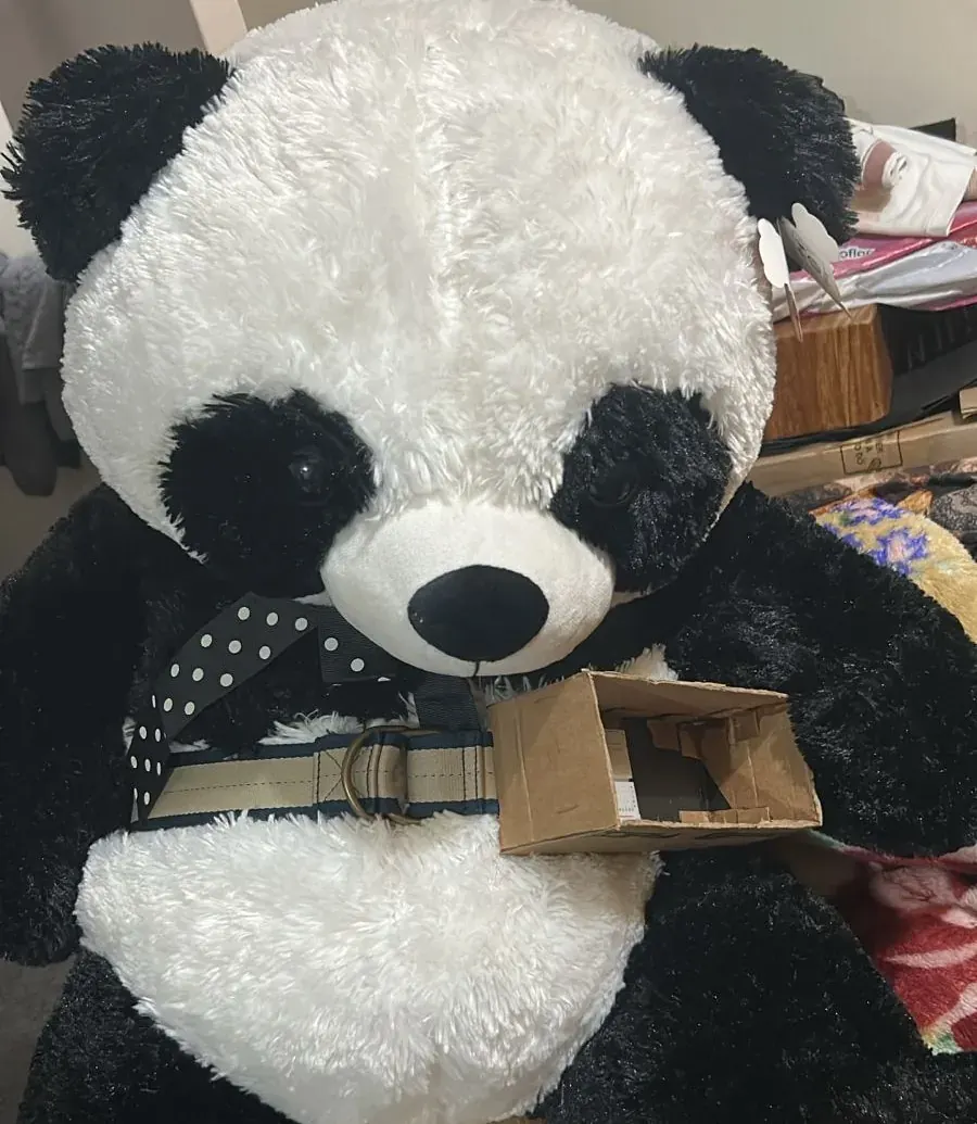 The device itself, in its cardboard case, strapped with a belt to a life-size panda plush standing in for the person wearing it.