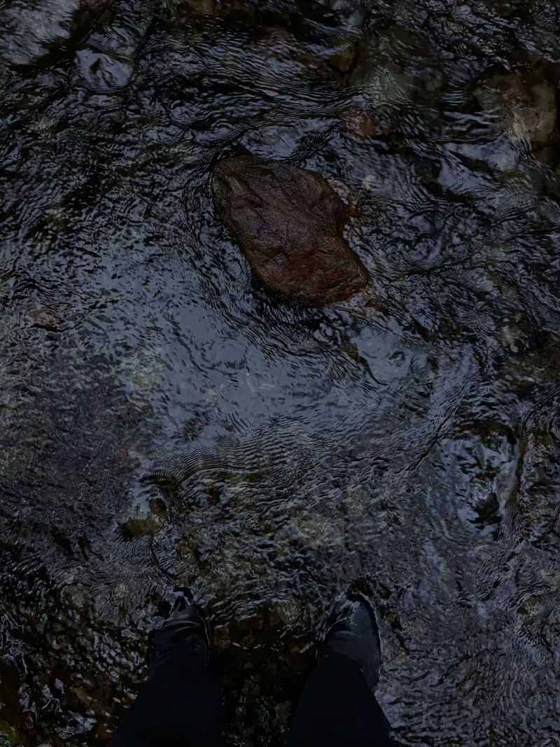 feet in stream