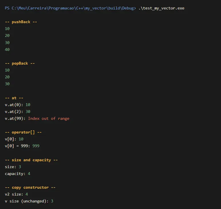 The test run in the terminal, section by section: pushBack, popBack, at() refusing index 99 with “Index out of range”, operator[], a size of 3 against a capacity of 4, and a copy that leaves the original untouched.