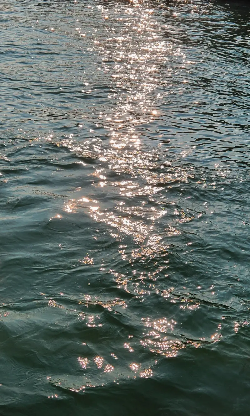 sea sparkle