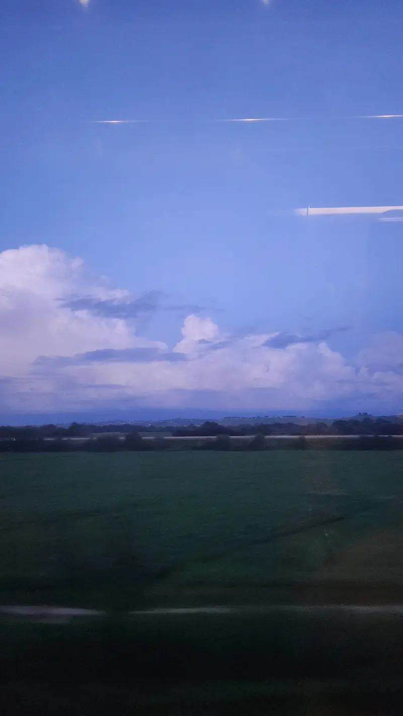 train window fields